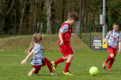 443-DSC_6790